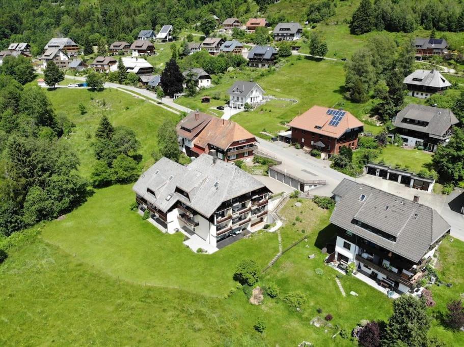 Апартаменты Schwarzwald Loft Менценшванд Экстерьер фото