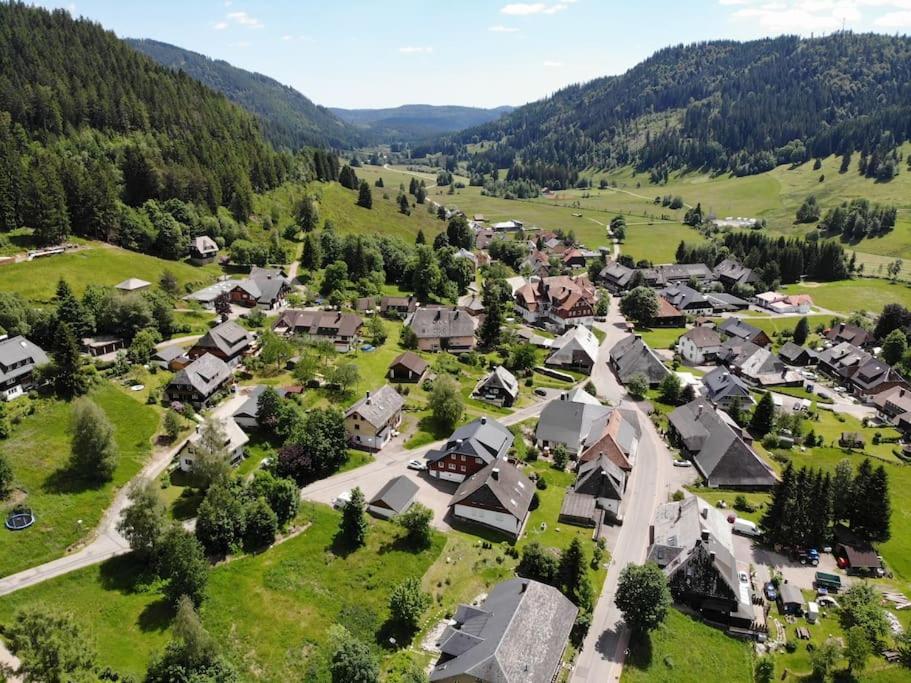 Апартаменты Schwarzwald Loft Менценшванд Экстерьер фото